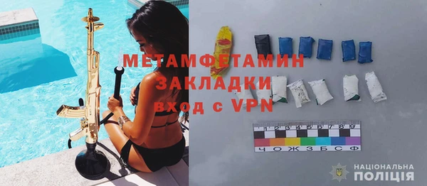 прущие грибы Белокуриха