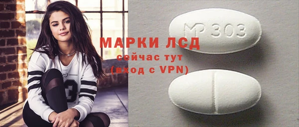 прущие грибы Белокуриха