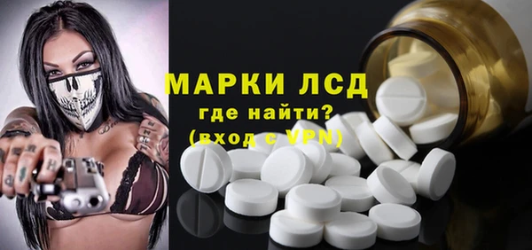прущие грибы Белокуриха