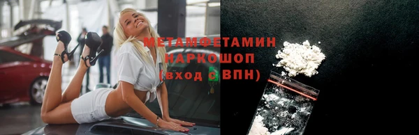 прущие грибы Белокуриха