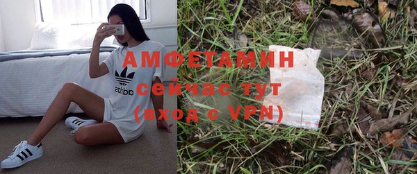 apvp Рославль