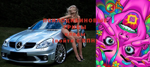 прущие грибы Белокуриха