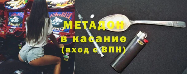 прущие грибы Белокуриха
