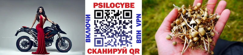 Псилоцибиновые грибы MAGIC MUSHROOMS  Курильск 
